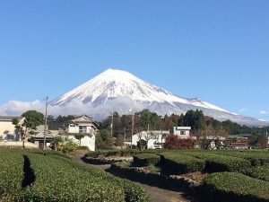 s-img_4311